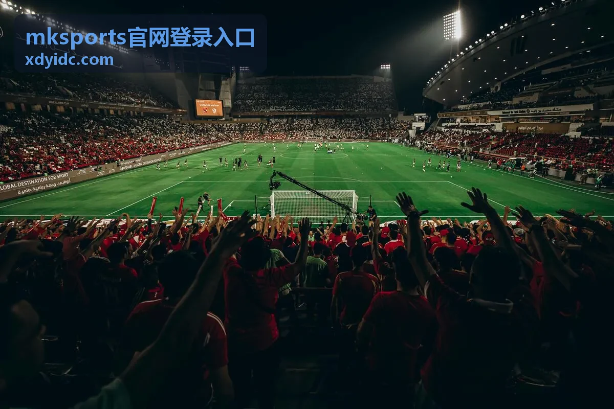 mksports官网登录入口账号安全保护建议